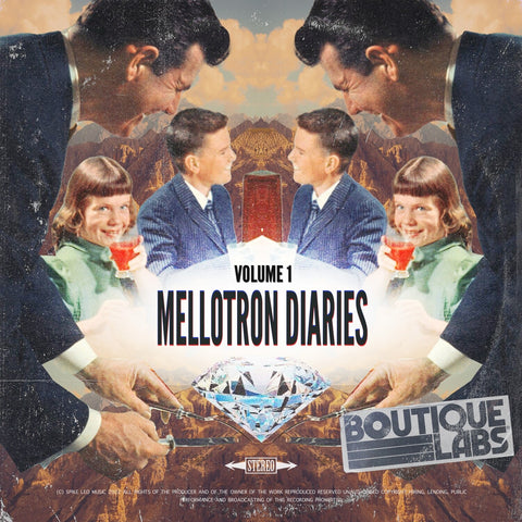 Mellotron Diaries V1